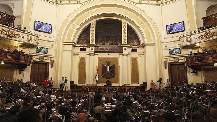 مجلس النواب المصري يثوت باغلبية على تعيين رئيسه رئيس مؤقت للبلاد
